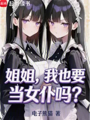 《姐姐，我也要当女仆吗？》小说封面