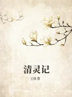 《清灵记》小说封面