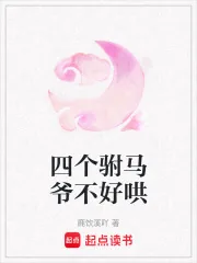 《四个驸马爷不好哄》小说封面