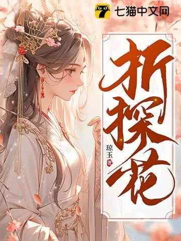 《折探花》小说封面