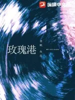 《玫瑰港》小说封面