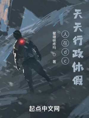 《人在dc，天天行政休假》小说封面