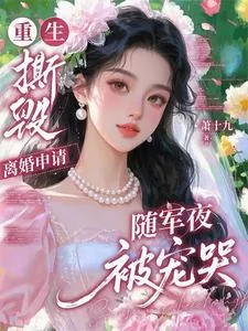 《重生撕毁离婚申请，随军夜被宠哭》小说封面