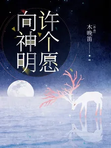 《向神明许个愿》小说封面