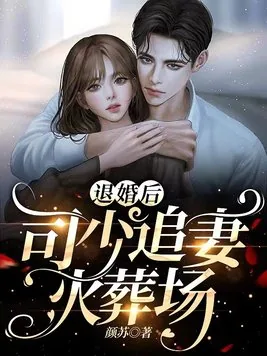 《欧颜司夜辰》小说封面