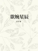 《欲婉星辰》小说封面