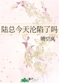 《陆总今天沦陷了吗》小说封面