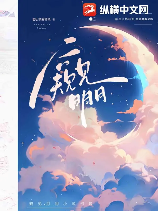 《窥见月明》小说封面
