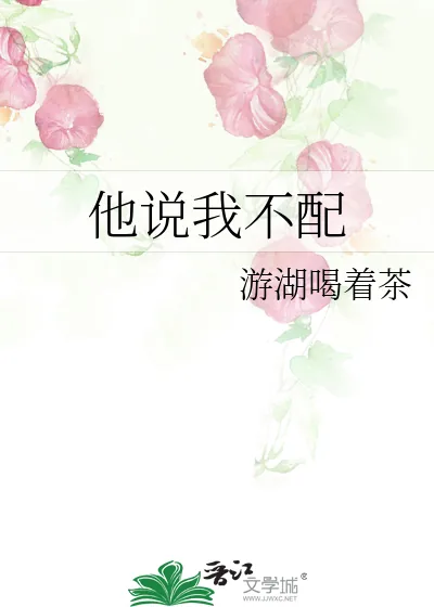《他说我不配》小说封面