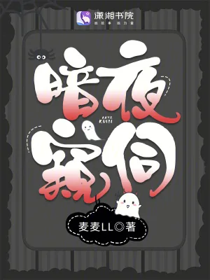 《暗夜窥伺》小说封面