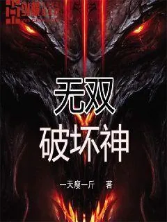 《无双破坏神》小说封面