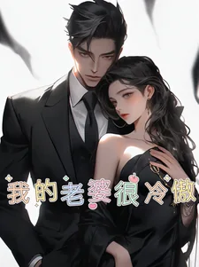 《我的老婆很冷傲》小说封面
