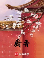 《厨香》小说封面