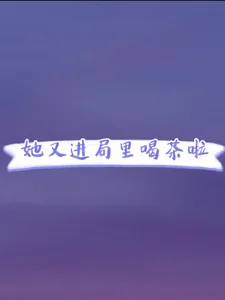 《她又进局里喝茶啦》小说封面