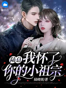 《安琪陆珺彦》小说封面
