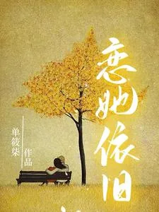 《恋她依旧》小说封面