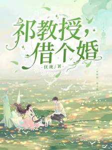 《祁教授，借个婚》小说封面