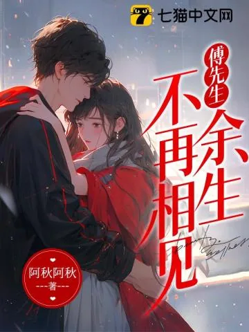 《傅先生，余生不再相见》小说封面