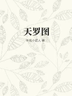 《天罗图》小说封面