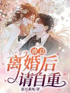 《唐总，离婚后请自重》小说封面
