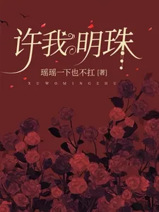 《许我明珠》小说封面
