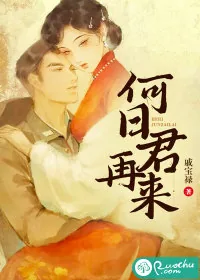 《何日君再来》小说封面