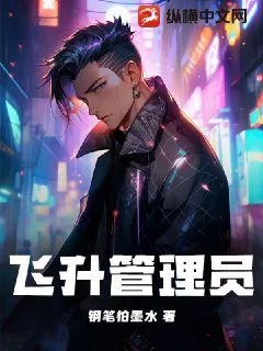 《飞升管理员》小说封面