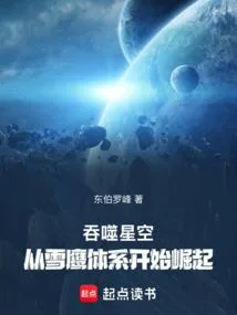 《吞噬星空：从雪鹰体系开始崛起》小说封面