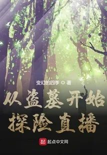 《从盗墓开始探险直播》小说封面