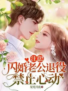 《注意！闪婚老公退役，禁止心动》小说封面