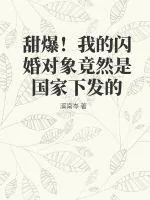 《甜爆！我的闪婚对象竟然是国家下发的》小说封面