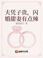 《夫凭子贵，闪婚甜妻有点辣》小说封面