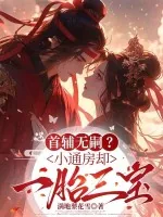《首辅无嗣?小通房却一胎三宝》小说封面