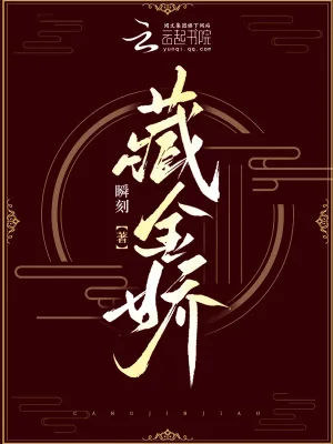 《藏金娇》小说封面