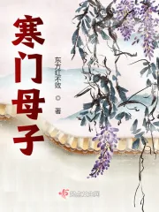 《寒门母子》小说封面