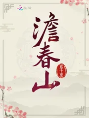 《澹春山》小说封面