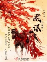 《藏谋》小说封面