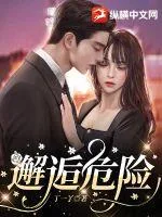《邂逅危险》小说封面