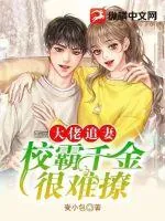 《大佬追妻,校霸千金很难撩》小说封面