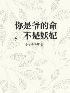 《你是爷的命，不是妖妃》小说封面
