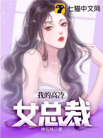 《沈耀木清眉》小说封面