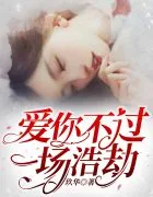 《爱你不过一场浩劫》小说封面