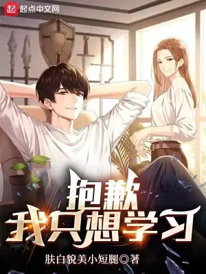 《抱歉，我只想学习》小说封面