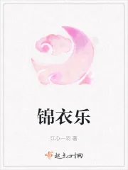 《锦衣乐》小说封面