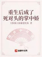 《重生后成了死对头的掌中娇》小说封面