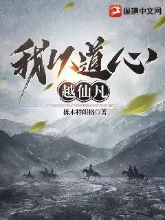 《我以道心越仙凡》小说封面