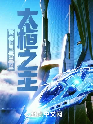 《吞噬星空之太桓之主》小说封面