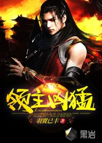 《领主凶猛》小说封面