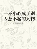 《一不小心成了别人惹不起的人物》小说封面