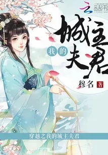 《穿越之我的城主夫君》小说封面